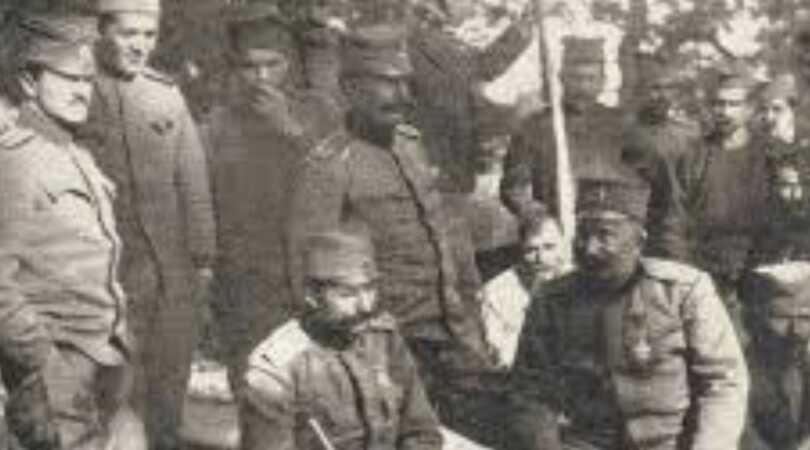 drinska divizija