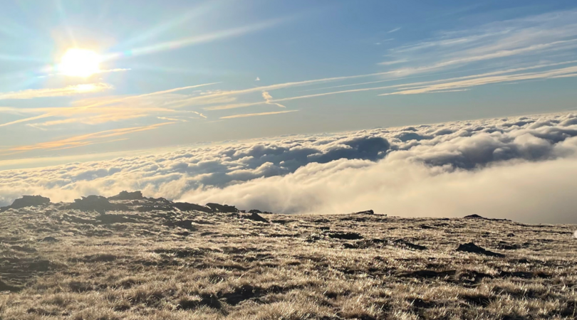 svetionik budućnosti
